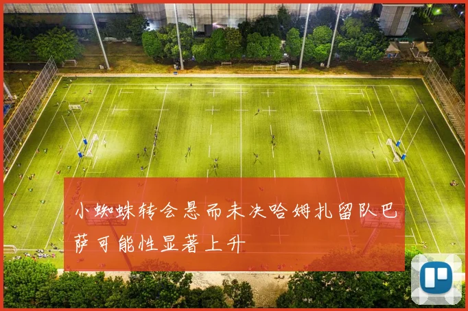 小蜘蛛转会悬而未决哈姆扎留队巴萨可能性显著上升